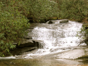 trout stream waterfall