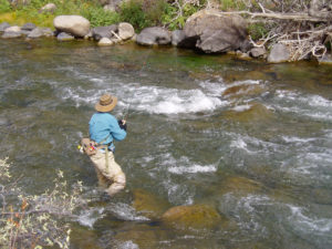 catching trout fightingtown creek