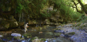 creek fishing waterfall mountains