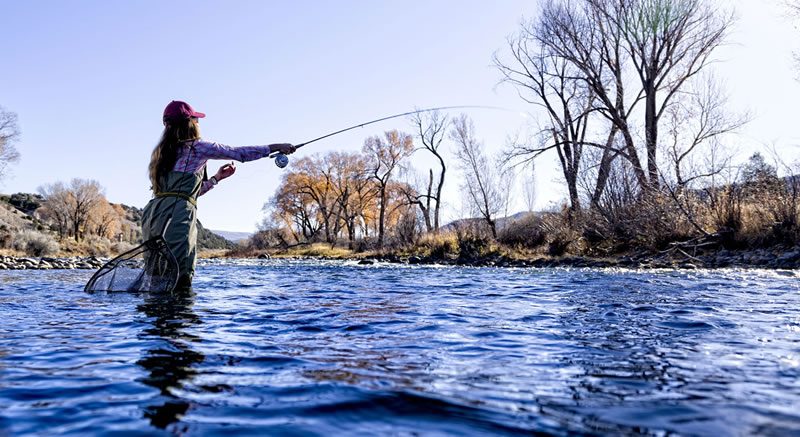 Choosing a Beginner Fly Fishing Rod and Reel –  – Fly Fishing  Tips and Tactics