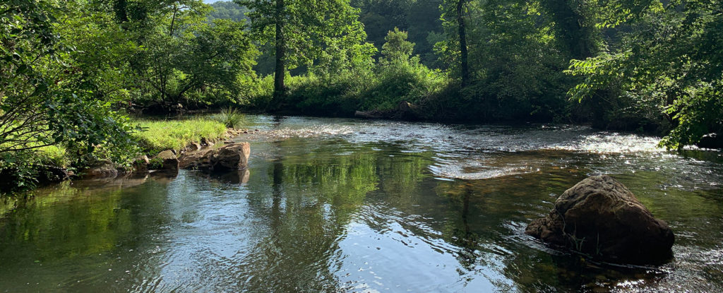 Reviews - fly fishing trips on Noontootla Creek off Aska Road in Blue Ridge, Georgia.
