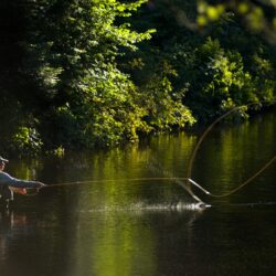 Cortland Backing - photo of a fly fishing stream