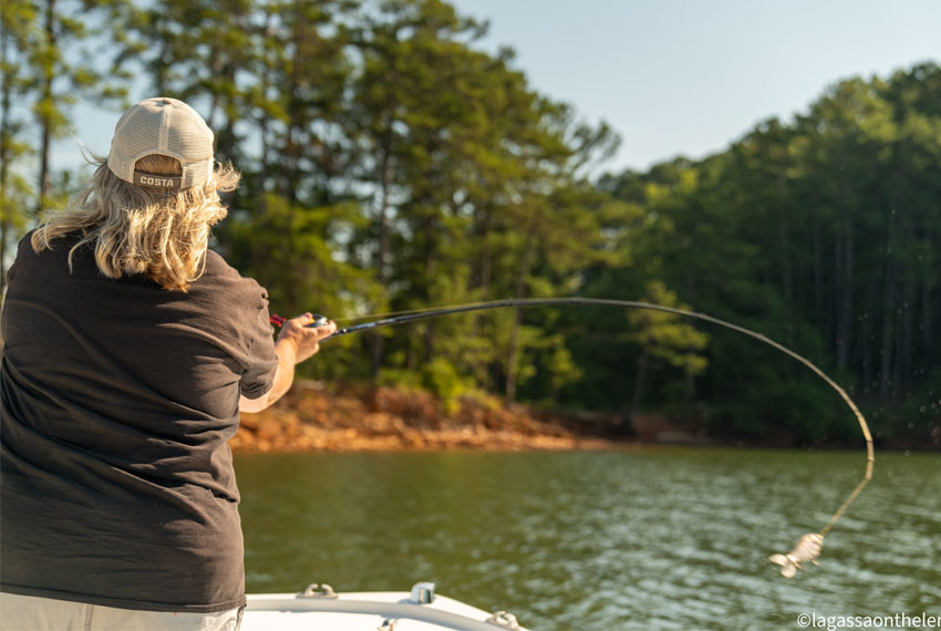 Rod and Reel guided lake fishing trips in north Georgia.