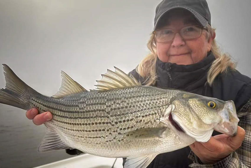 Rod and Reel guided lake fishing trips in north Georgia.