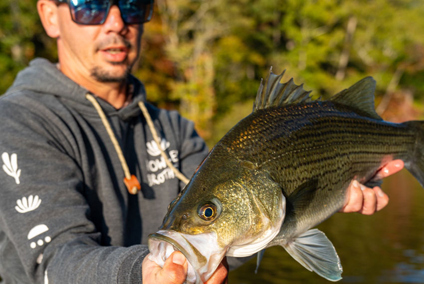 Rod and Reel guided lake fishing trips in north Georgia.