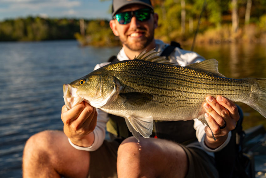 Rod and Reel guided lake fishing trips in north Georgia.