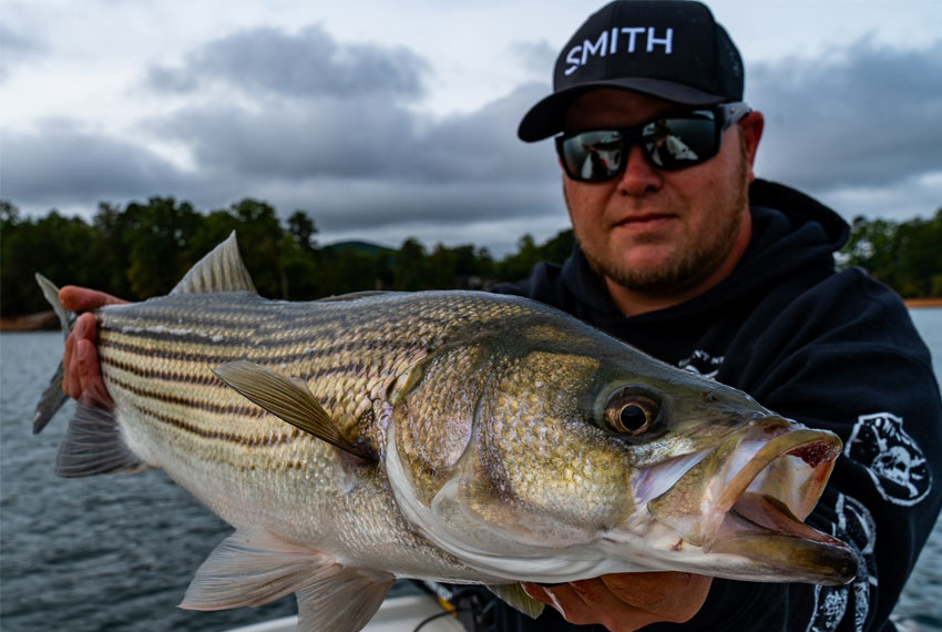 Rod and Reel guided lake fishing trips in north Georgia.